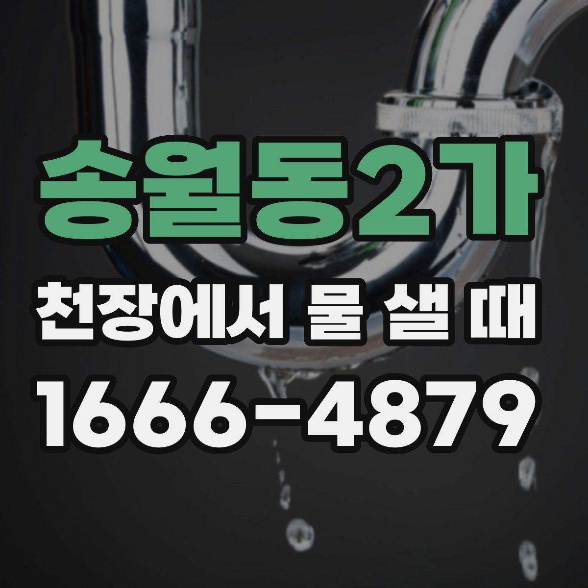 송월동2가 천장에서 물 샐 때