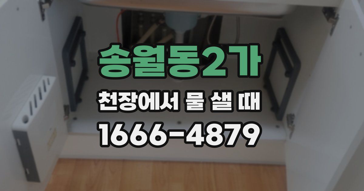 송월동2가 천장에서 물 샐 때