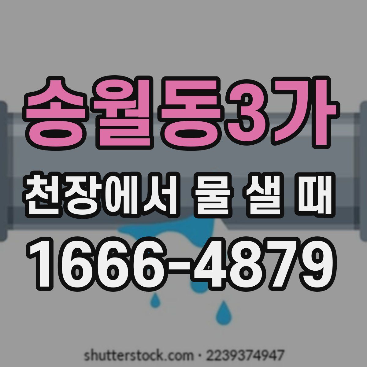 송월동3가 천장에서 물 샐 때