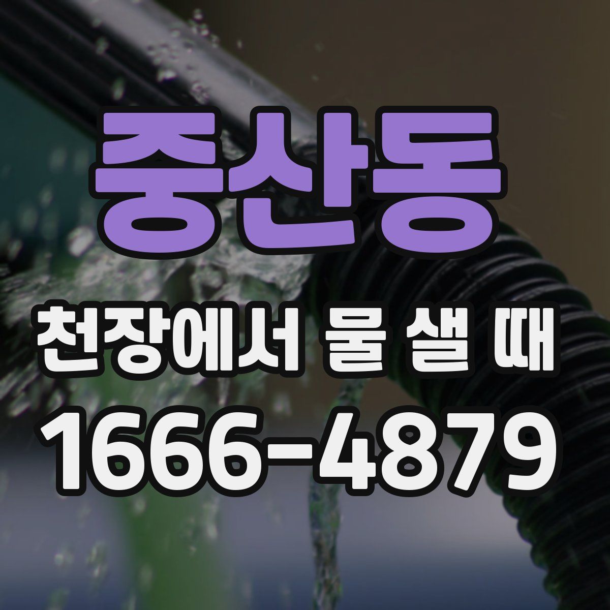 중산동 천장에서 물 샐 때