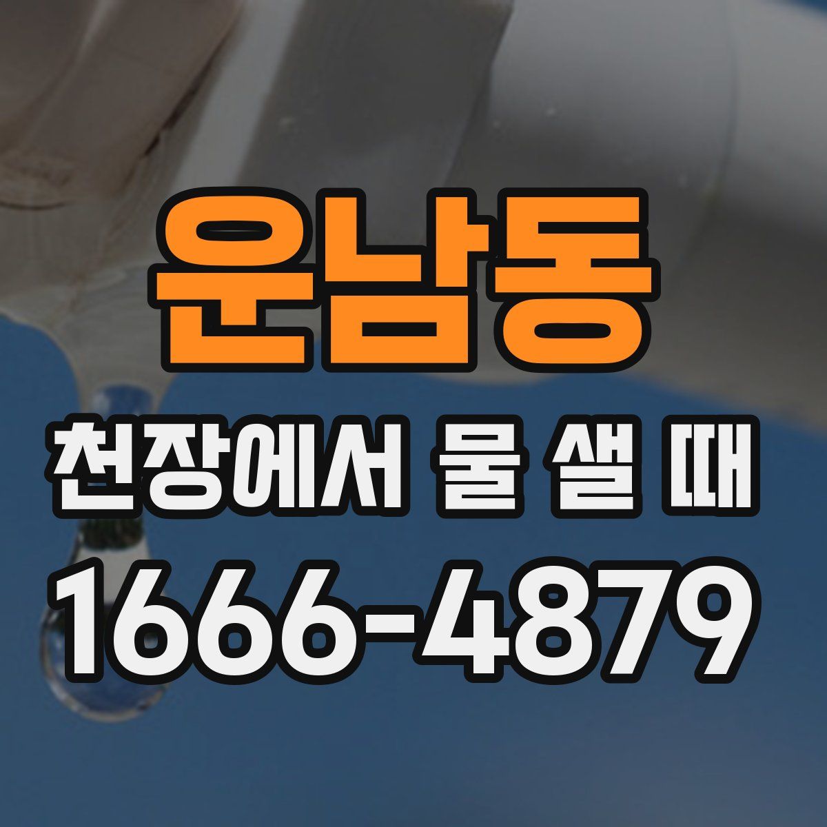 운남동 천장에서 물 샐 때