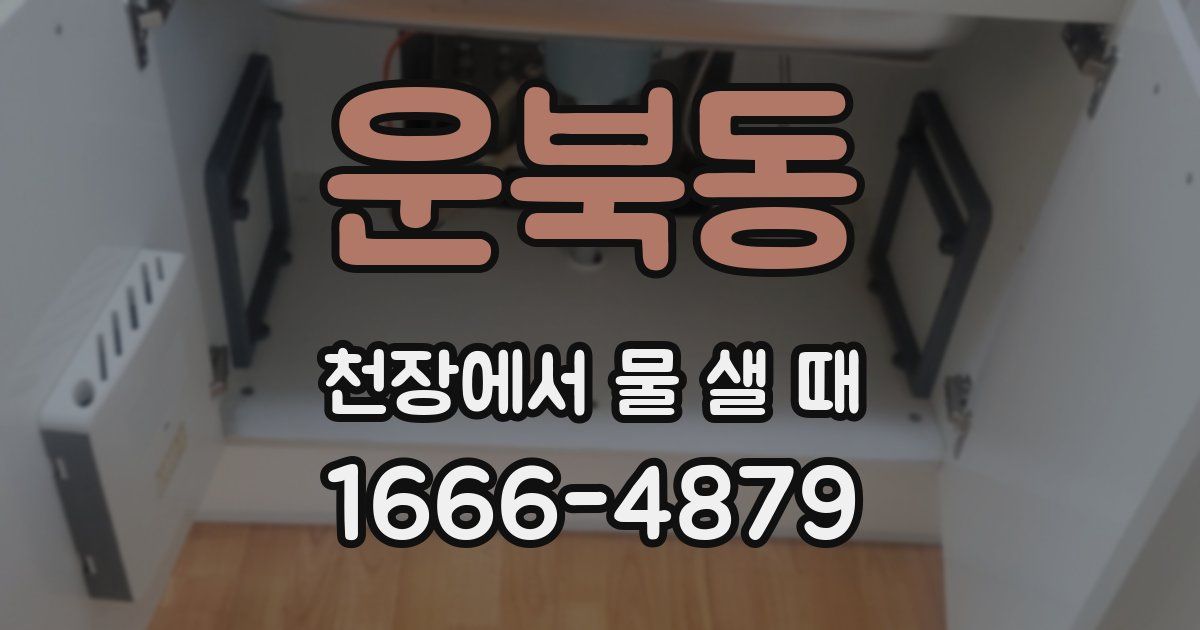 운북동 천장에서 물 샐 때