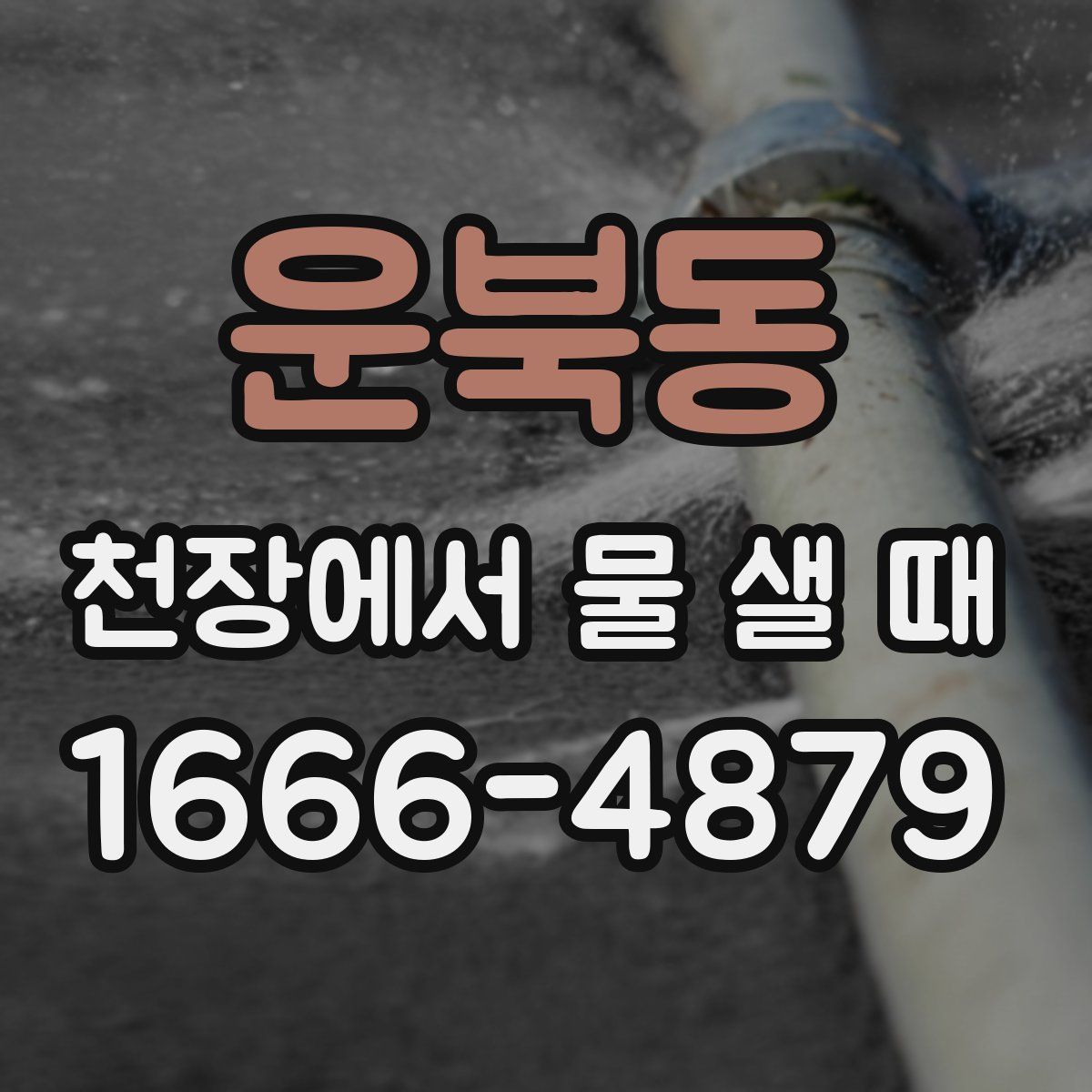 운북동 천장에서 물 샐 때