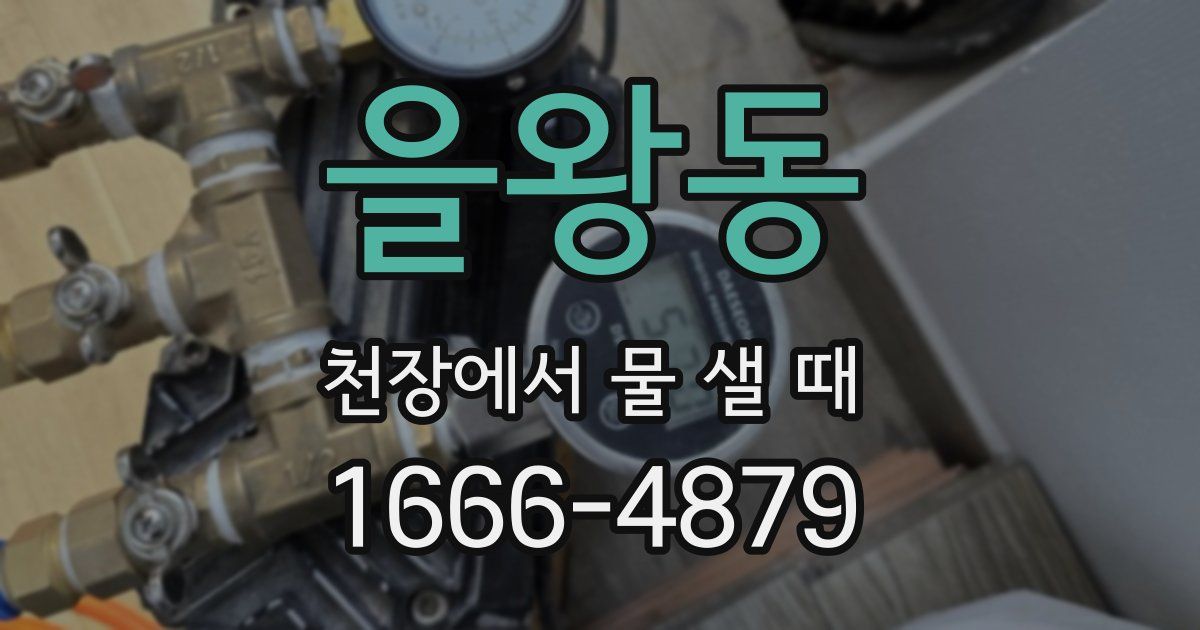 을왕동 천장에서 물 샐 때