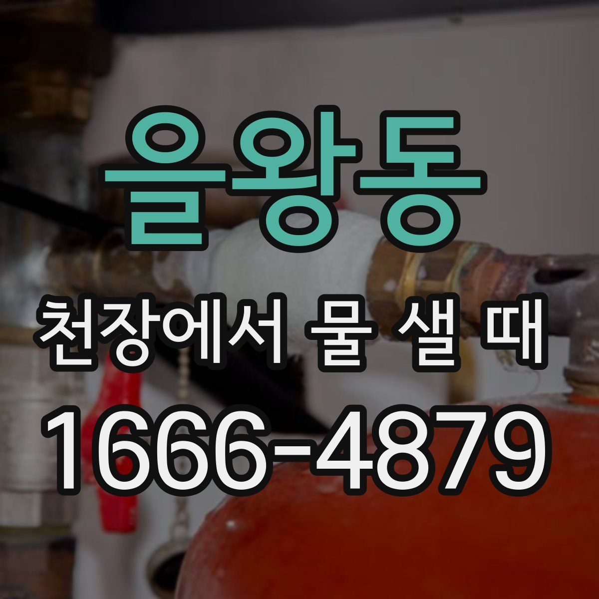 을왕동 천장에서 물 샐 때