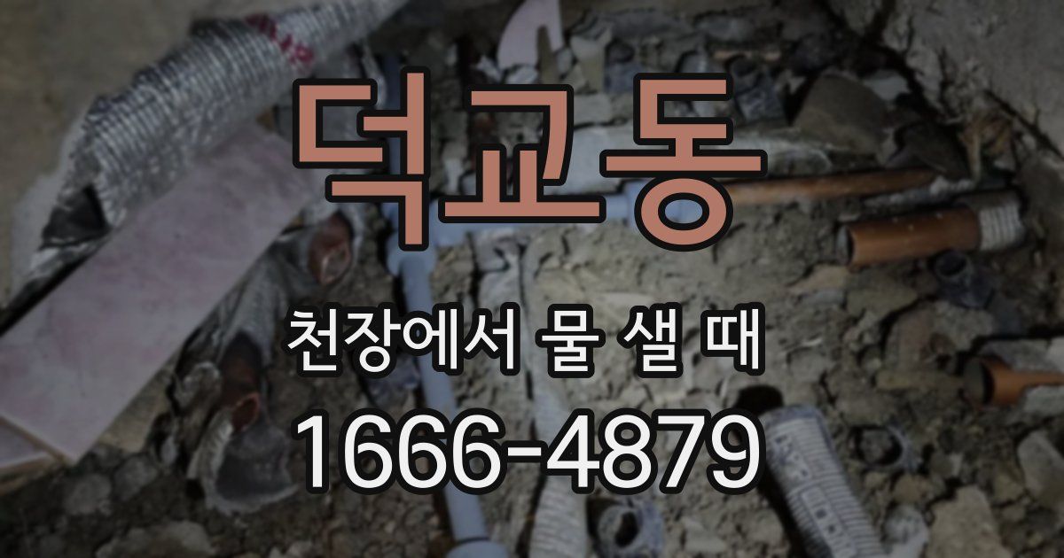 덕교동 천장에서 물 샐 때