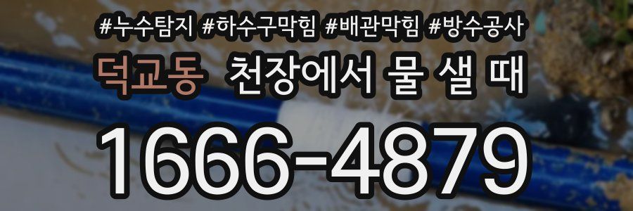 덕교동 천장에서 물 샐 때