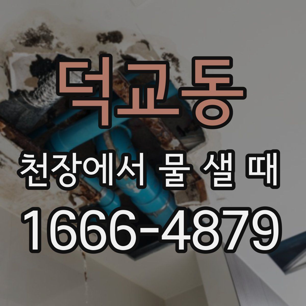 덕교동 천장에서 물 샐 때