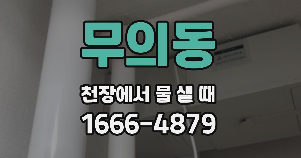 무의동 천장에서 물 샐 때
