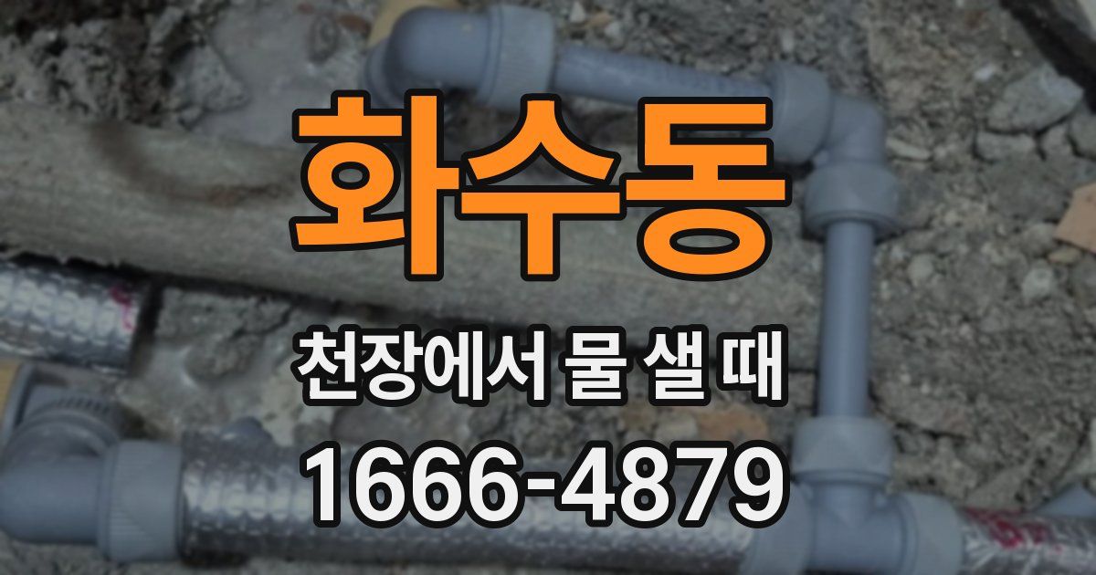 화수동 천장에서 물 샐 때