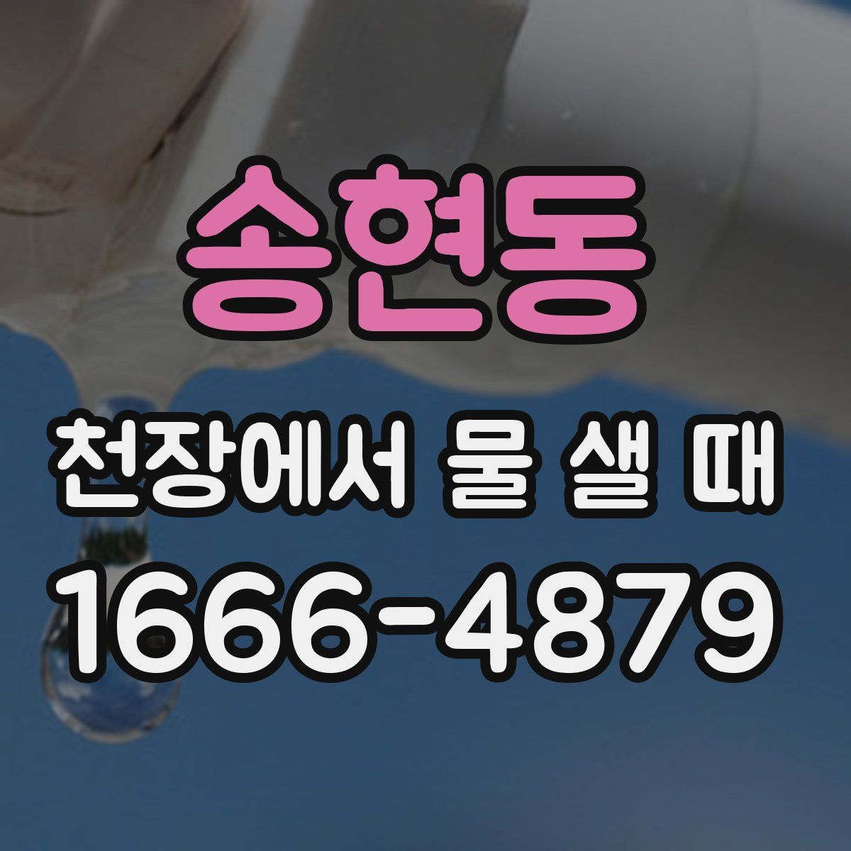 송현동 천장에서 물 샐 때