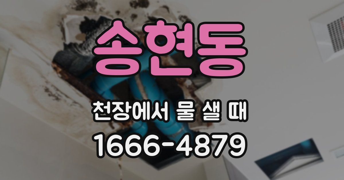 송현동 천장에서 물 샐 때