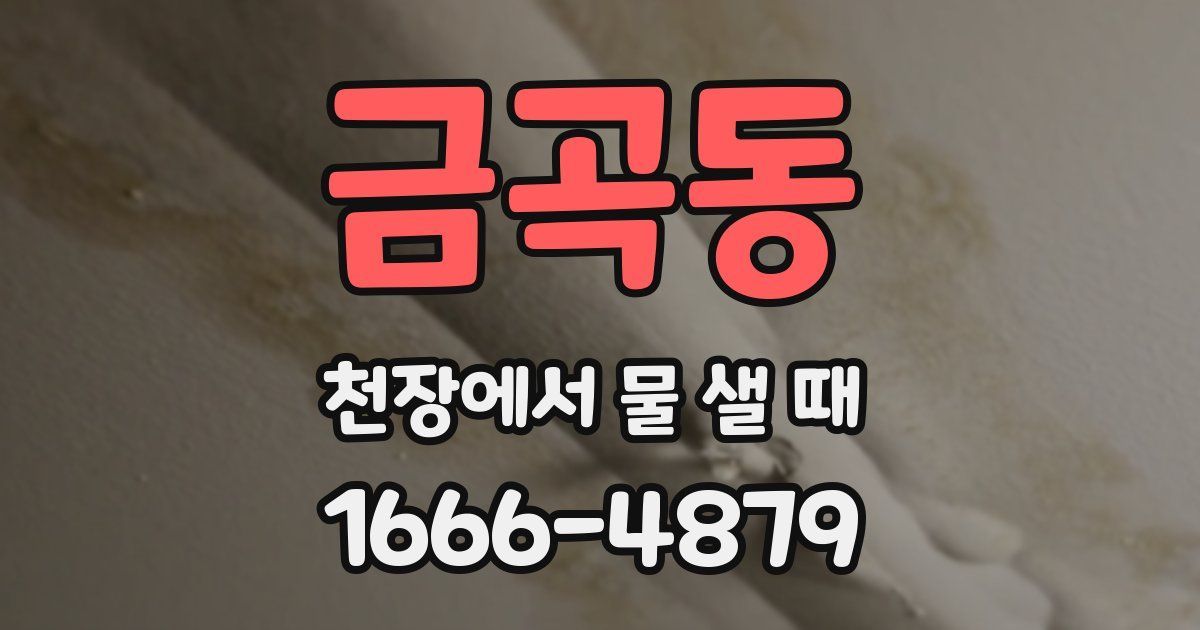 금곡동 천장에서 물 샐 때