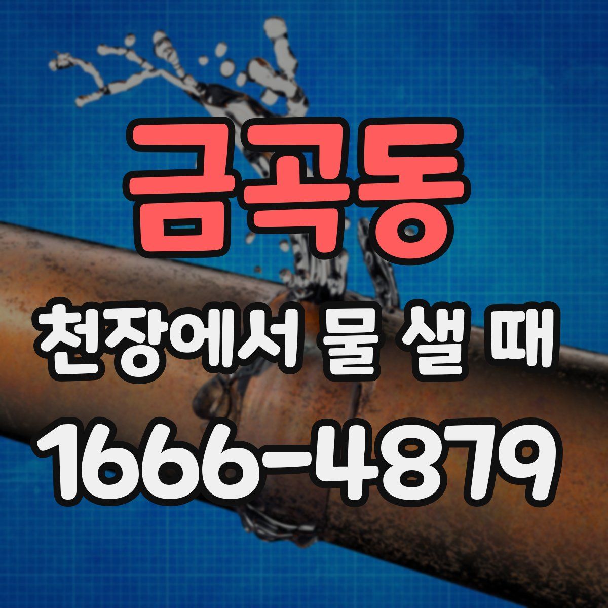금곡동 천장에서 물 샐 때