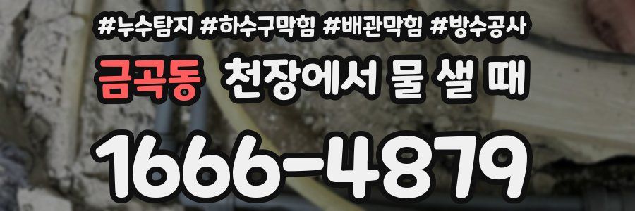 금곡동 천장에서 물 샐 때