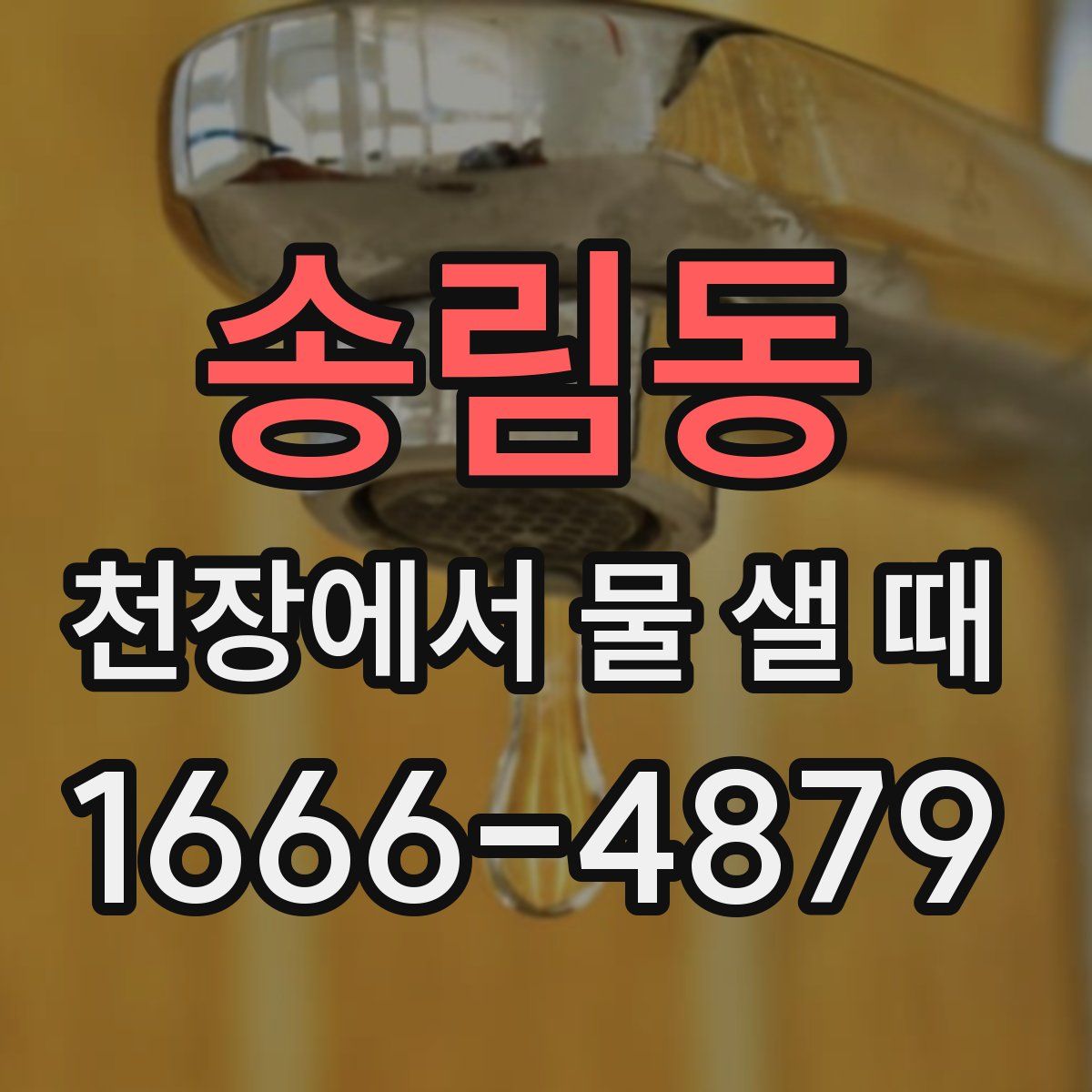 송림동 천장에서 물 샐 때