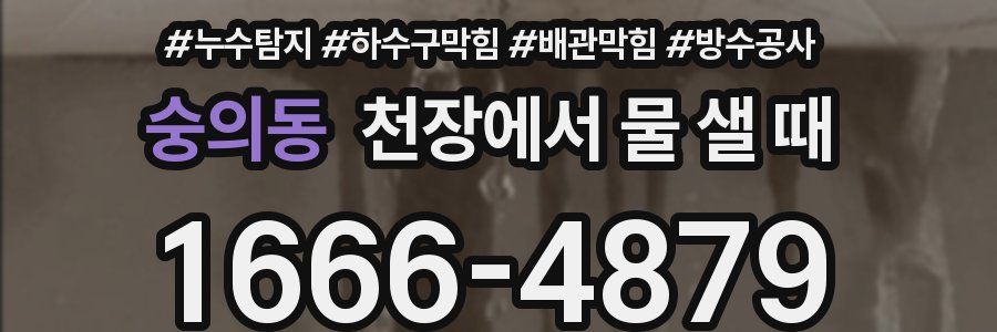 숭의동 천장에서 물 샐 때