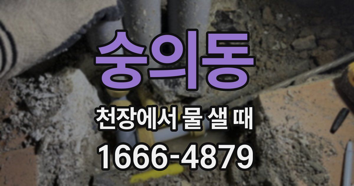 숭의동 천장에서 물 샐 때
