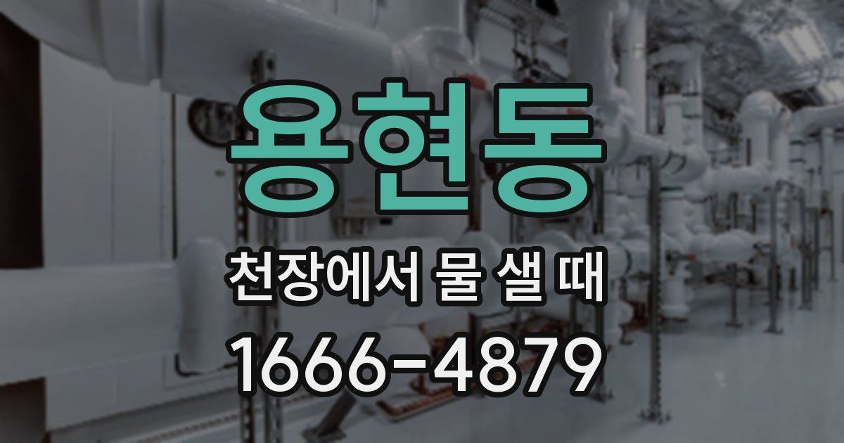 용현동 천장에서 물 샐 때