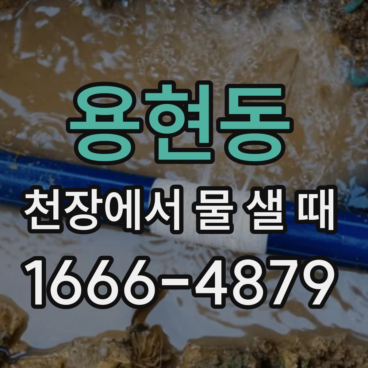 용현동 천장에서 물 샐 때