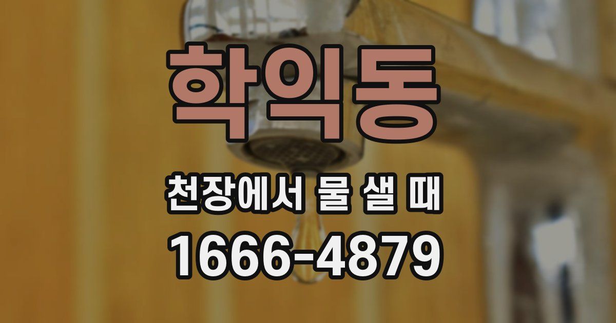 학익동 천장에서 물 샐 때