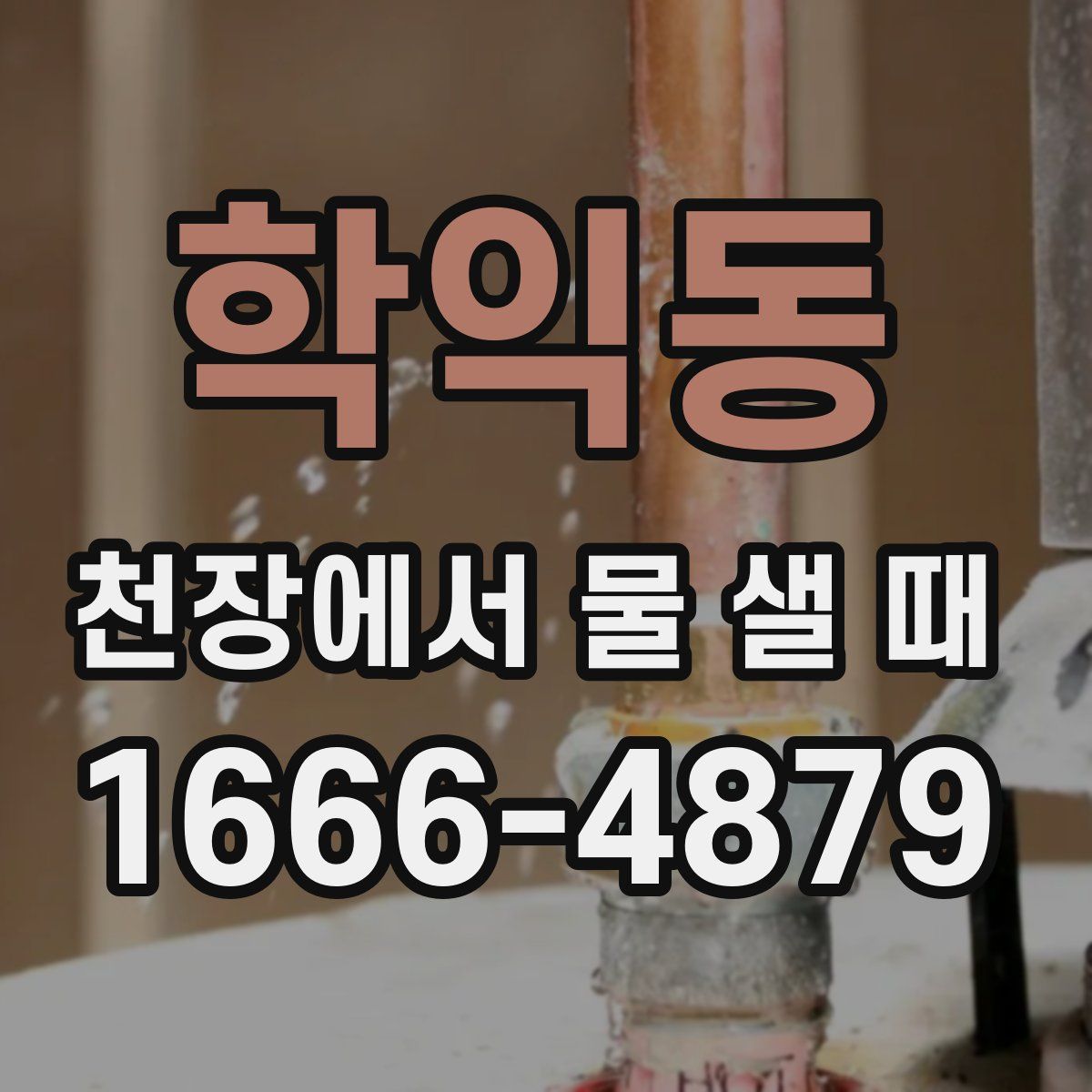 학익동 천장에서 물 샐 때