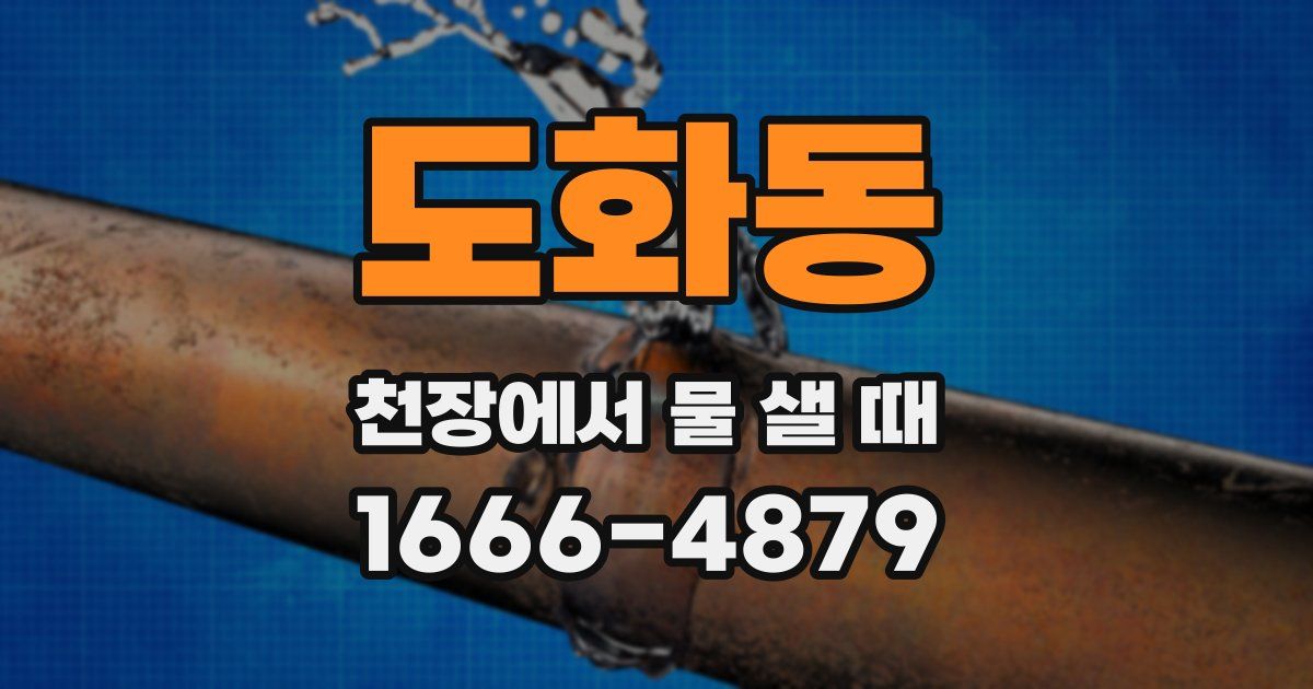 도화동 천장에서 물 샐 때