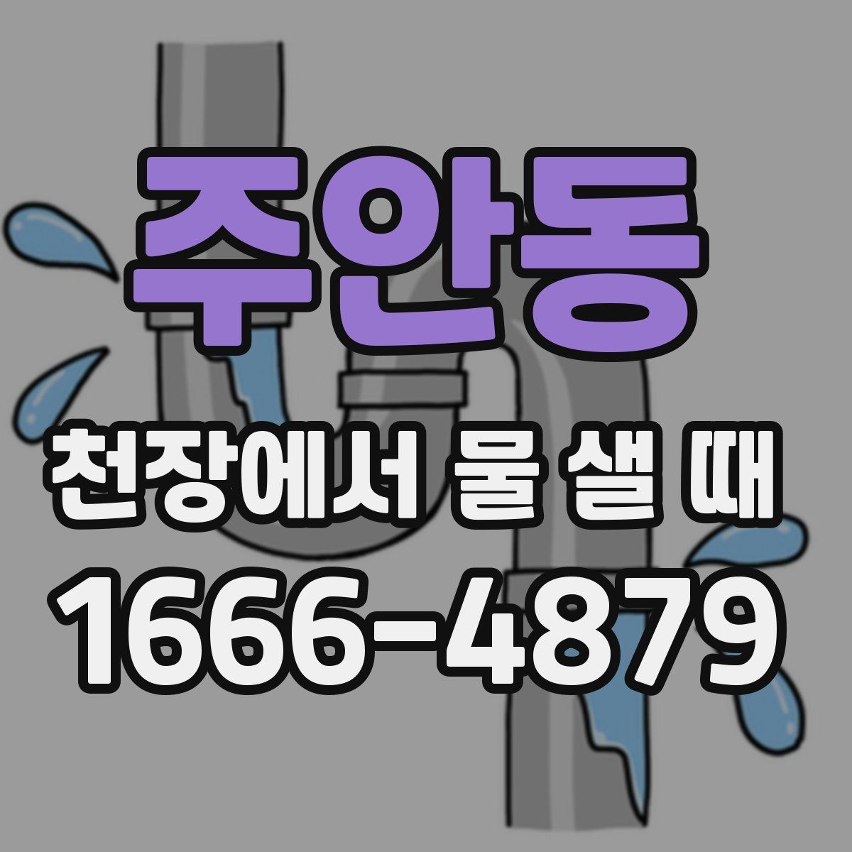 주안동 천장에서 물 샐 때