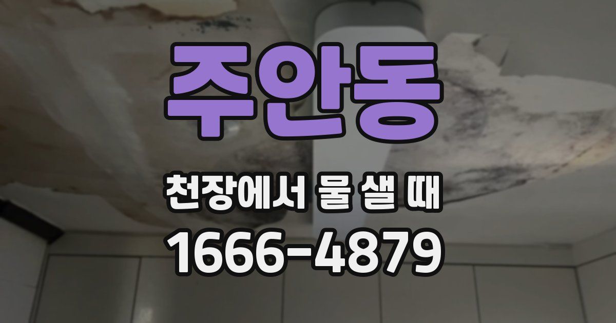 주안동 천장에서 물 샐 때