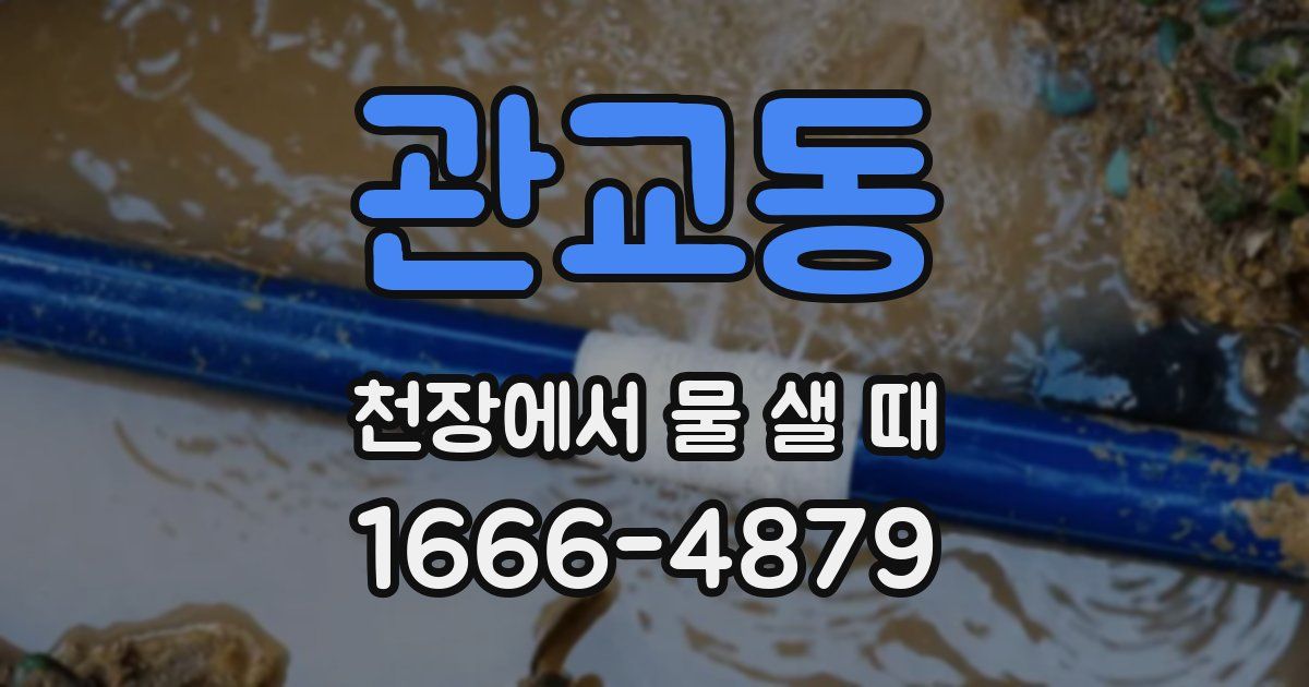 관교동 천장에서 물 샐 때