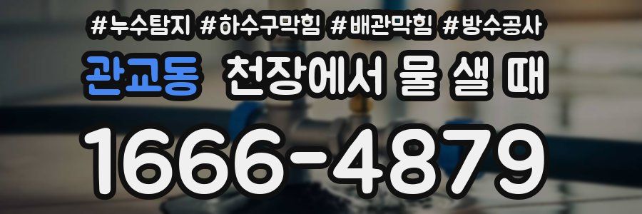 관교동 천장에서 물 샐 때