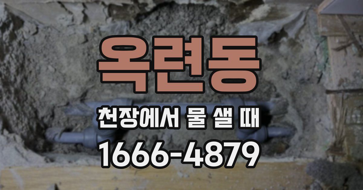 옥련동 천장에서 물 샐 때