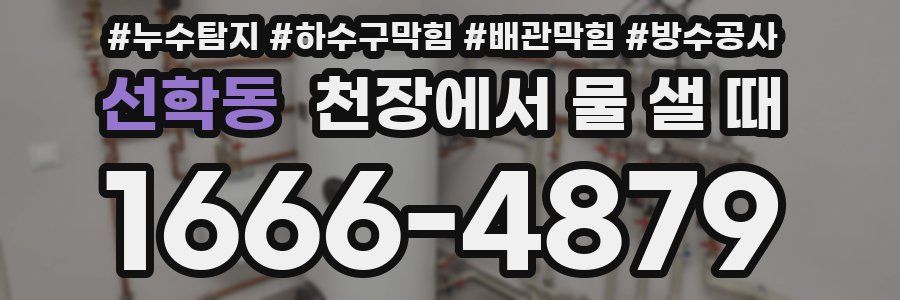 선학동 천장에서 물 샐 때
