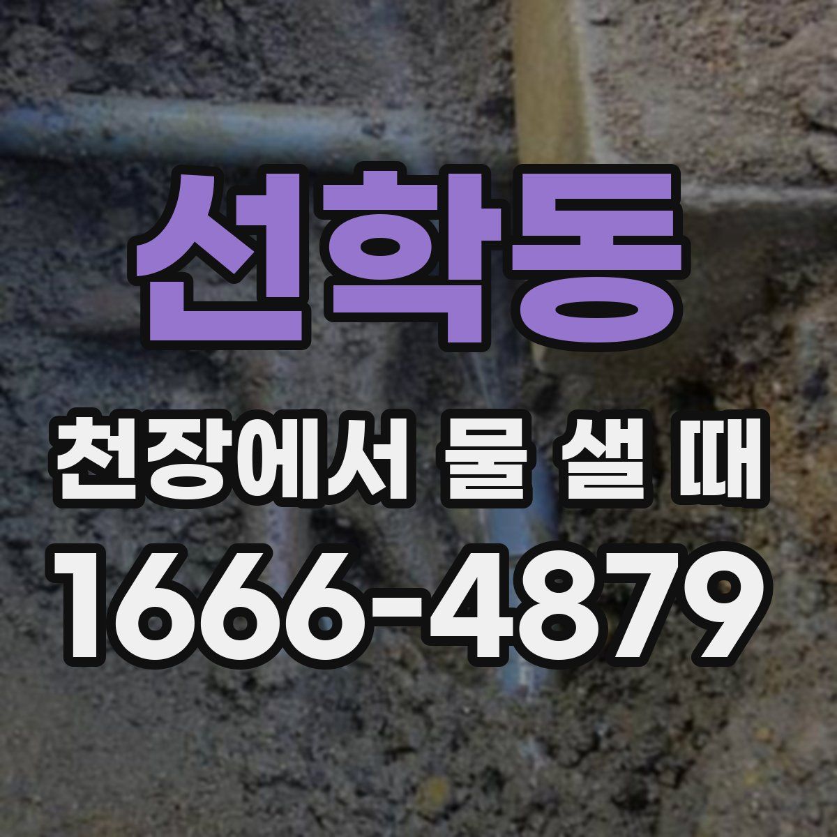 선학동 천장에서 물 샐 때