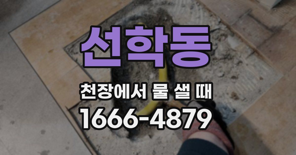 선학동 천장에서 물 샐 때