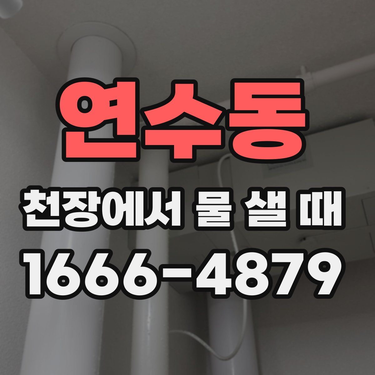 연수동 천장에서 물 샐 때