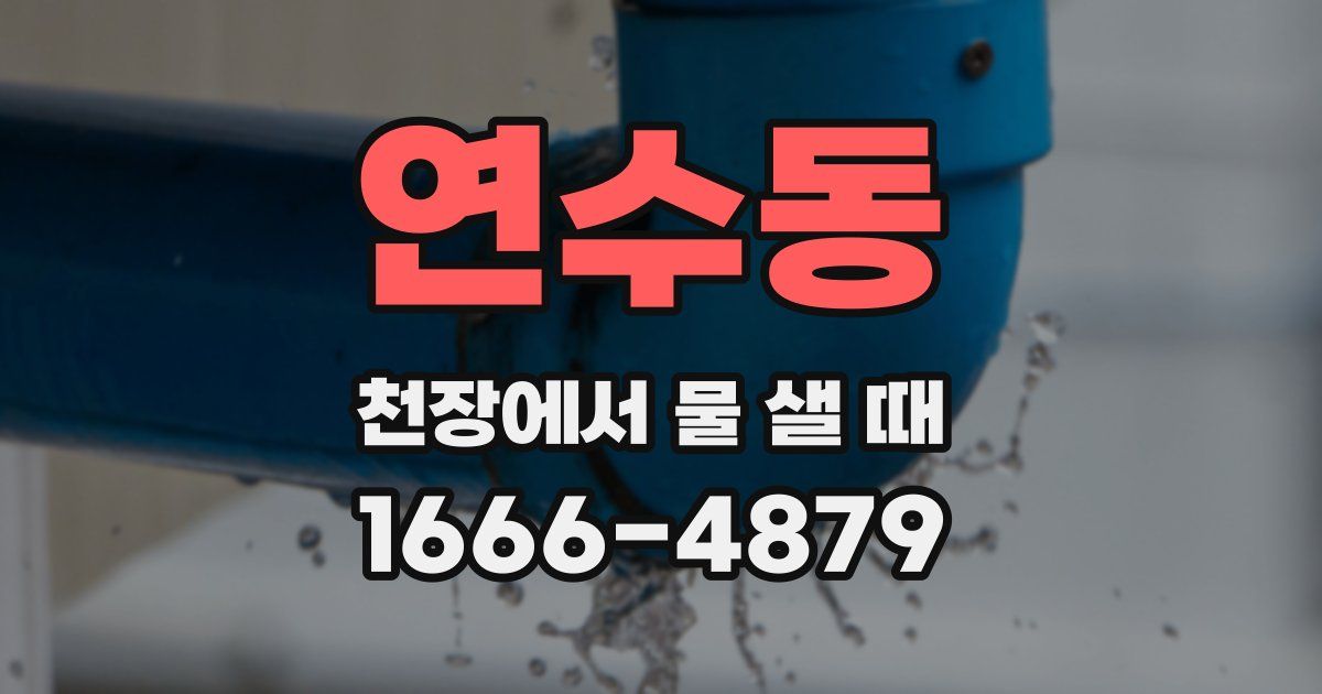 연수동 천장에서 물 샐 때