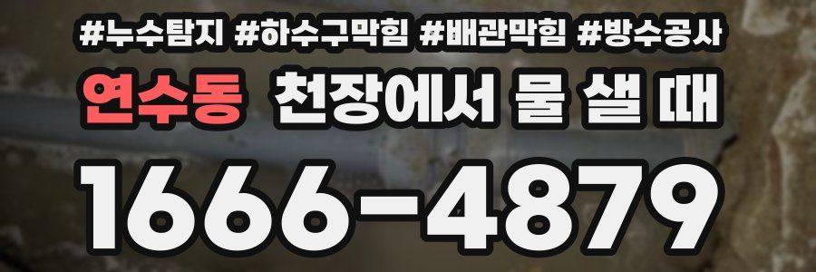 연수동 천장에서 물 샐 때