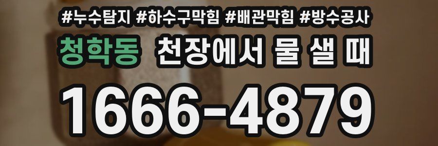 청학동 천장에서 물 샐 때