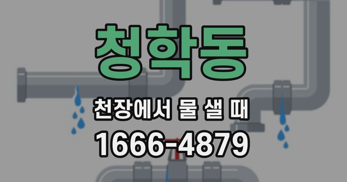 청학동 천장에서 물 샐 때