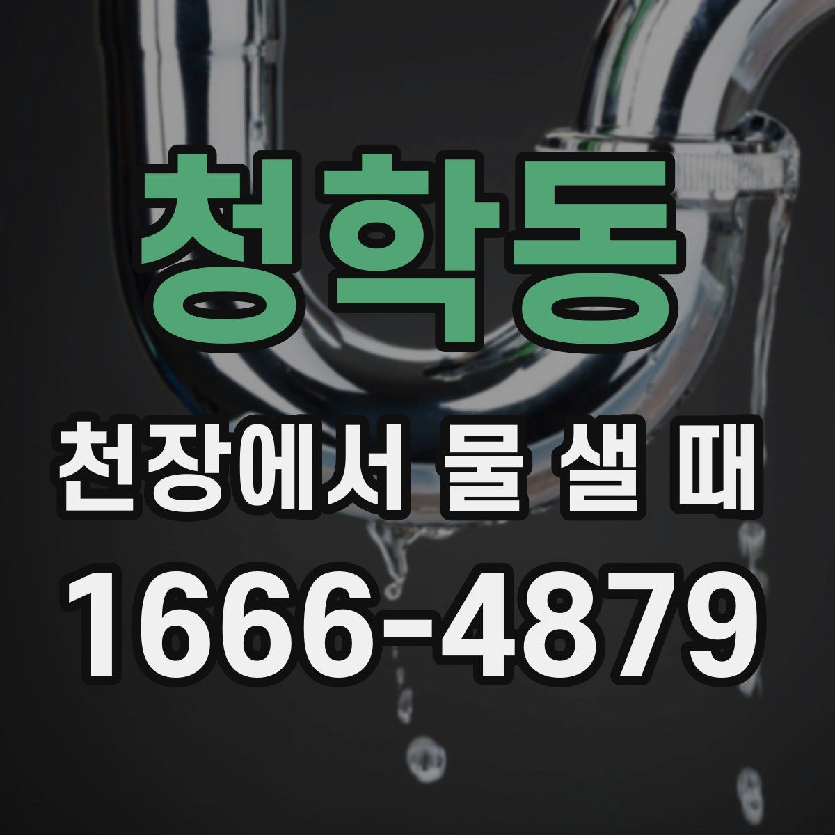 청학동 천장에서 물 샐 때