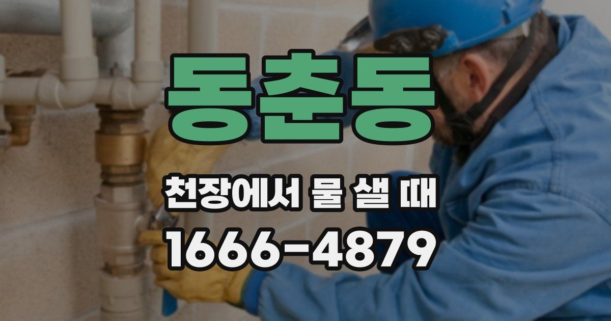 동춘동 천장에서 물 샐 때