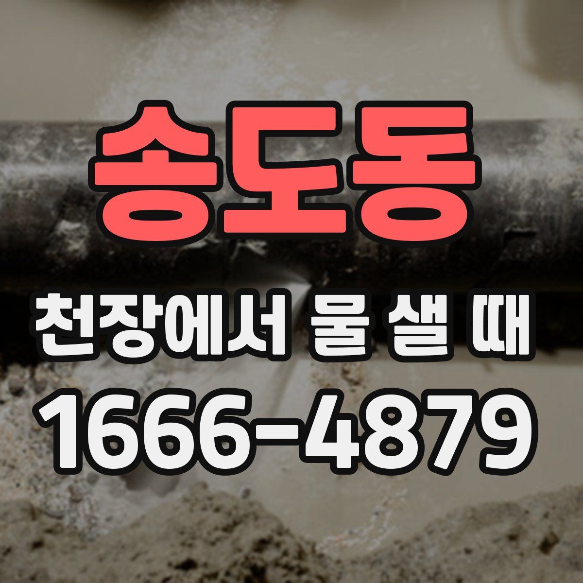 송도동 천장에서 물 샐 때