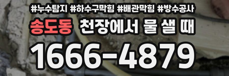 송도동 천장에서 물 샐 때