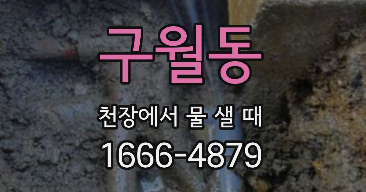 구월동 천장에서 물 샐 때