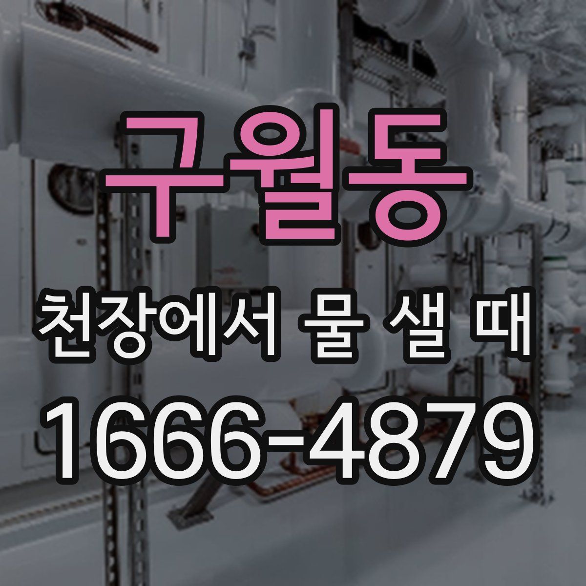 구월동 천장에서 물 샐 때