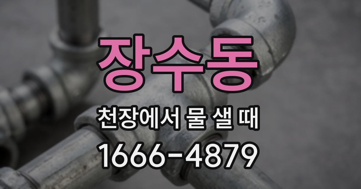 장수동 천장에서 물 샐 때