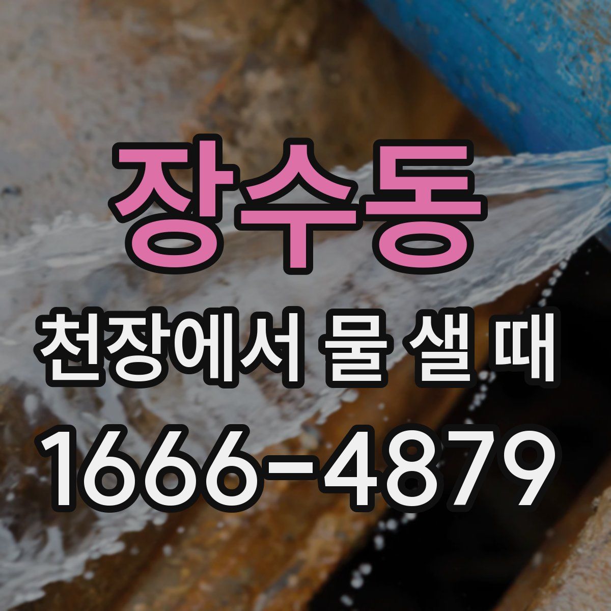 장수동 천장에서 물 샐 때