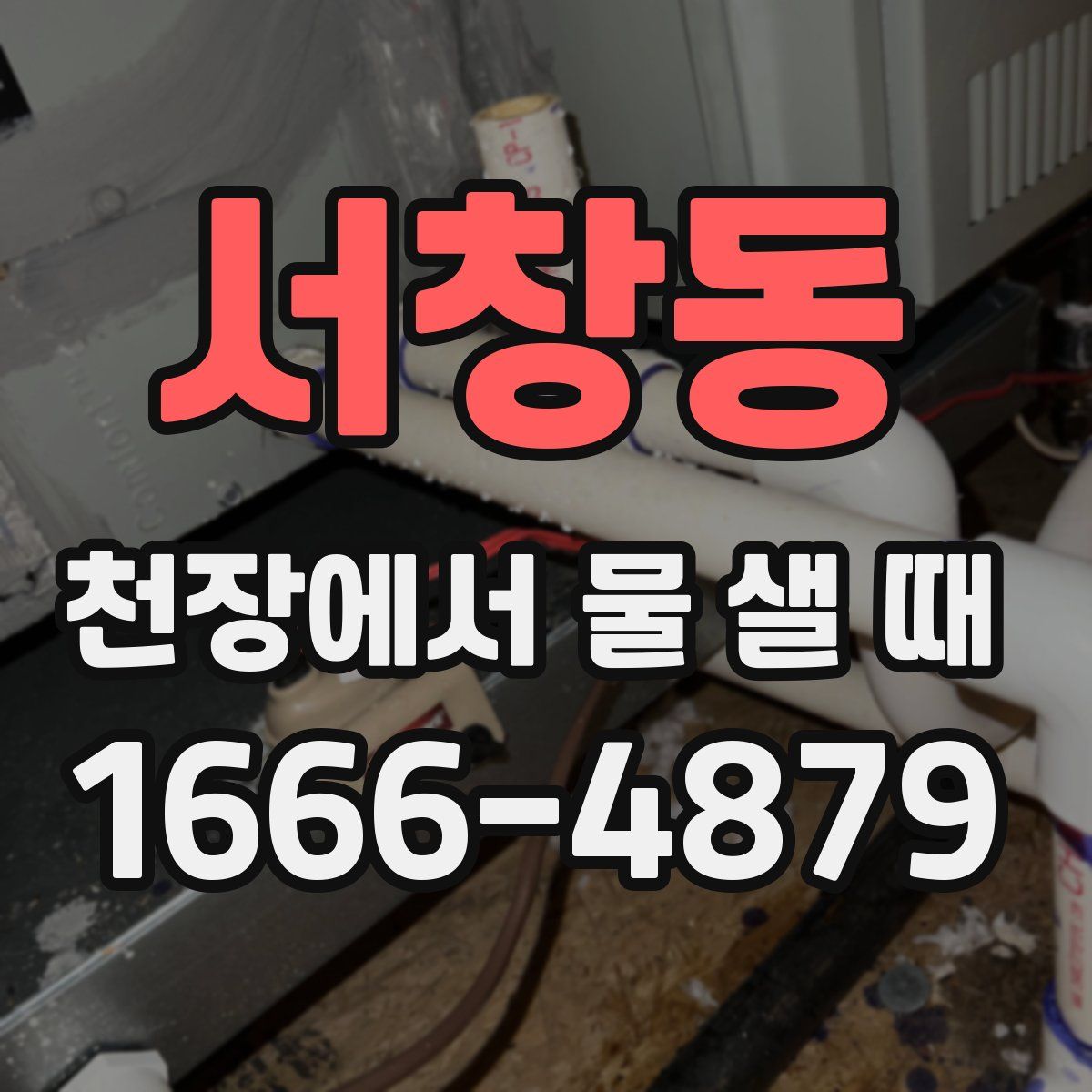 서창동 천장에서 물 샐 때