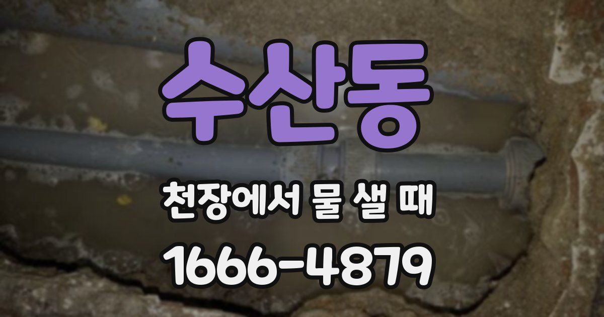 수산동 천장에서 물 샐 때